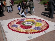 Porta un Fiore a Monte Sole 25 aprile 2004